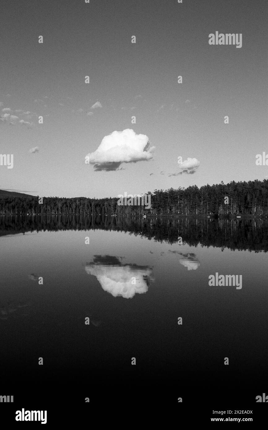Nuvola riflessa nelle acque calme di Daicy Pond, Maine Foto Stock