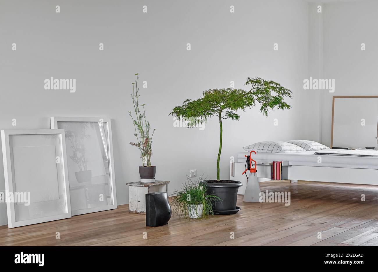 foto interne di una camera da letto con pavimento in legno in primo piano sulle piante Foto Stock