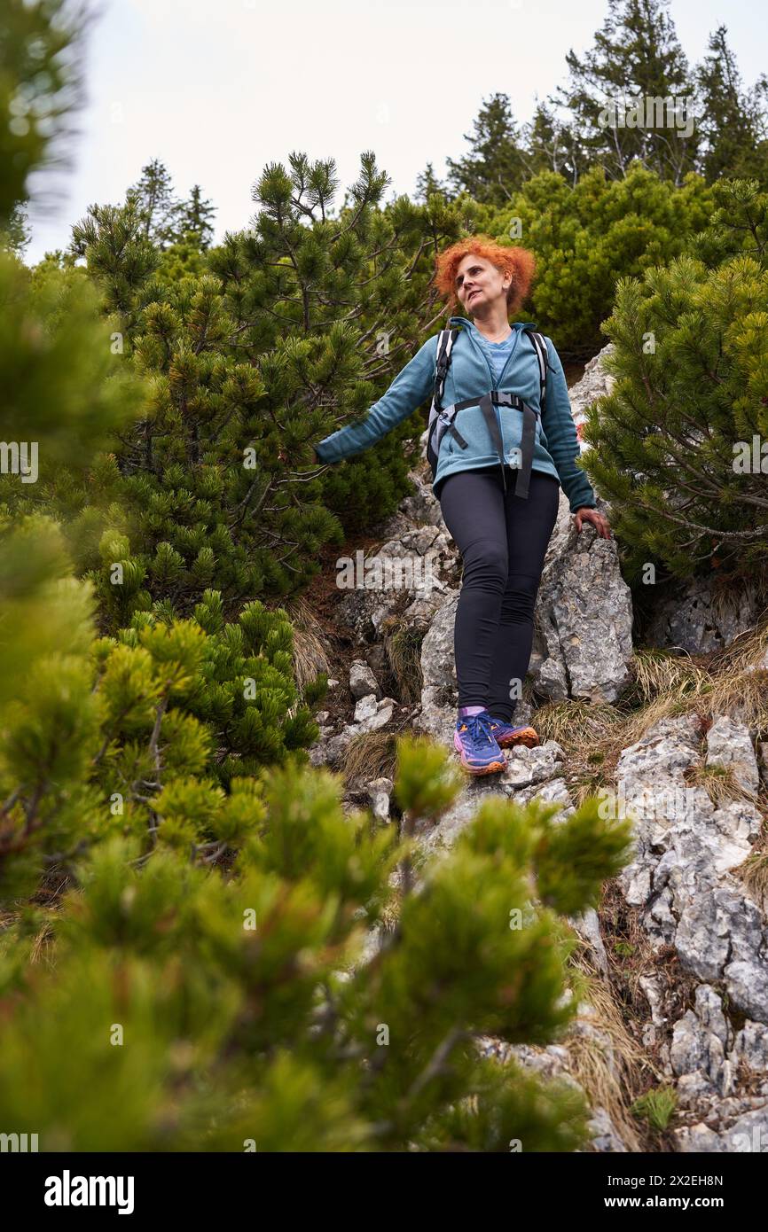 Donna alpinista con zaino che arrampica su una ripida montagna attraverso cespugli di pino Foto Stock