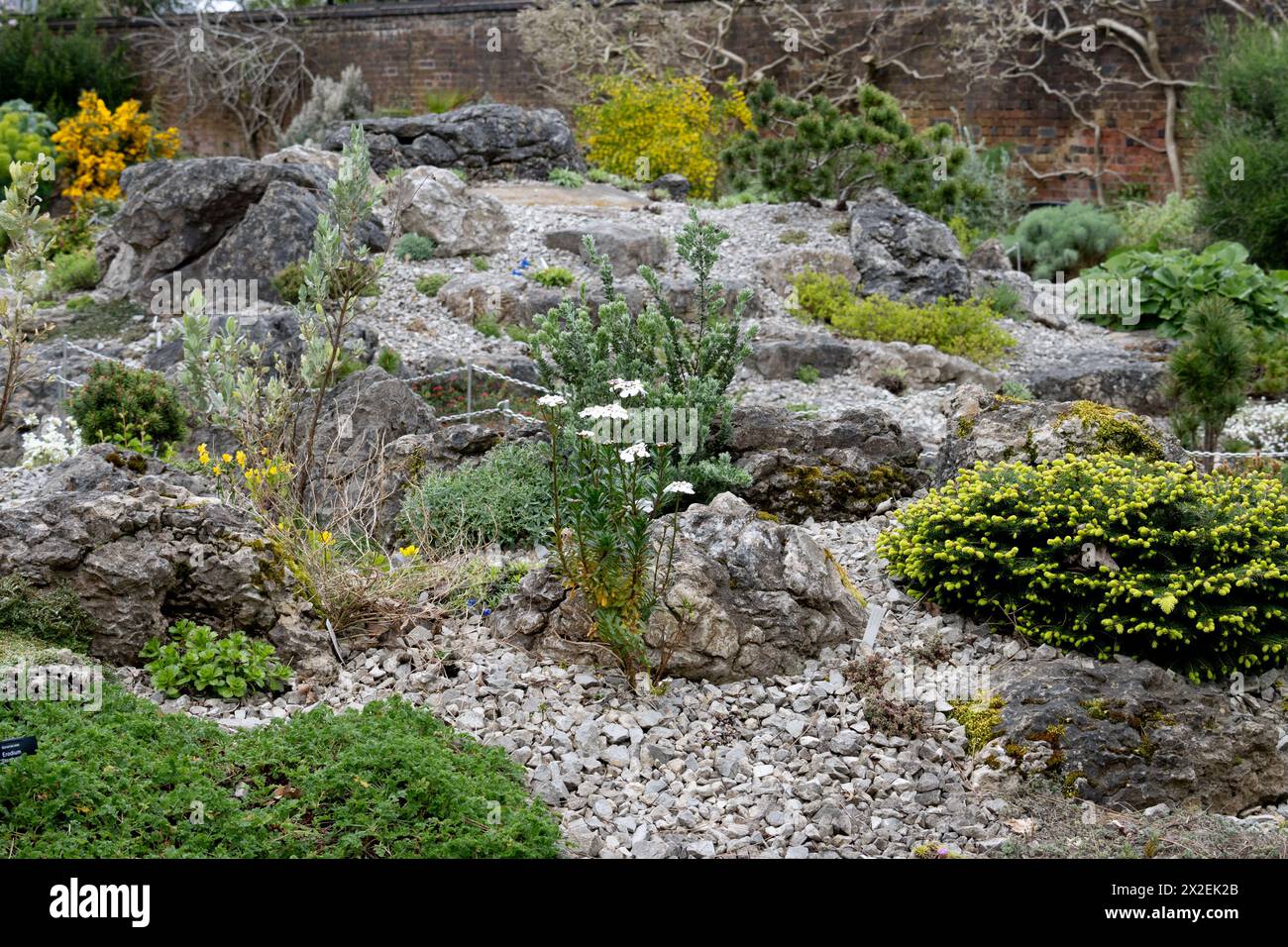 The Alan King Alpine Garden, Birmingham Botanical Gardens, Regno Unito Foto Stock