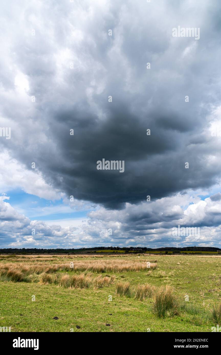 Rickney Marshes, East Sussex, Inghilterra con cieli nuvolosi e sole spettacolari, sulla Country Walk 1066 Foto Stock