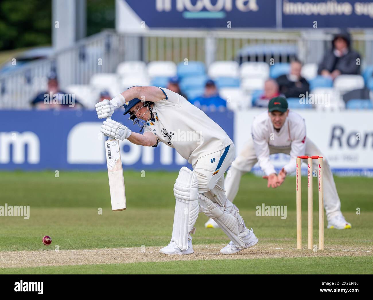 Harry batté per il Derbyshire in un match per il Vitality County Championship contro il Leicestershire Foto Stock