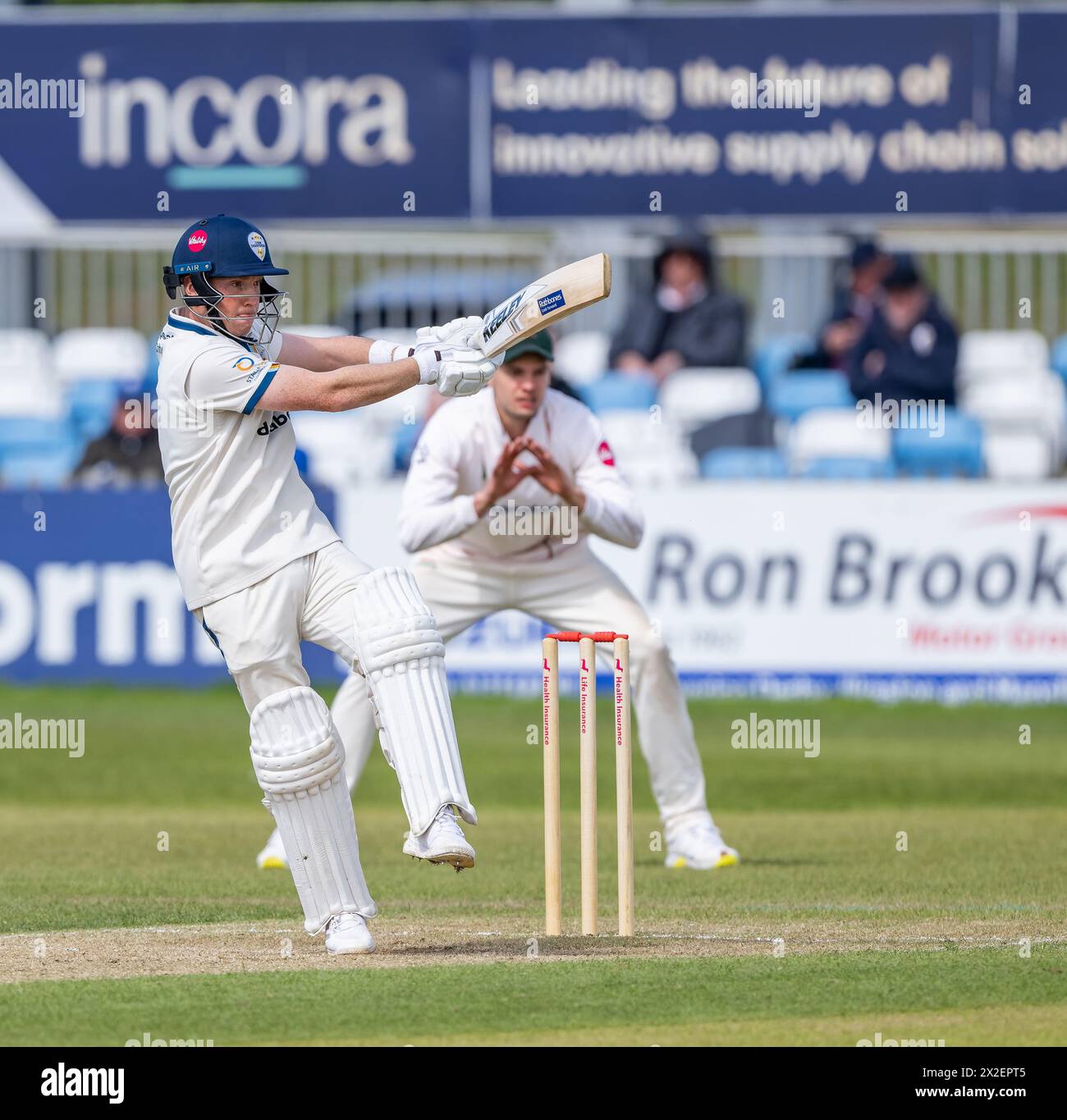 Harry batté per il Derbyshire in un match per il Vitality County Championship contro il Leicestershire Foto Stock