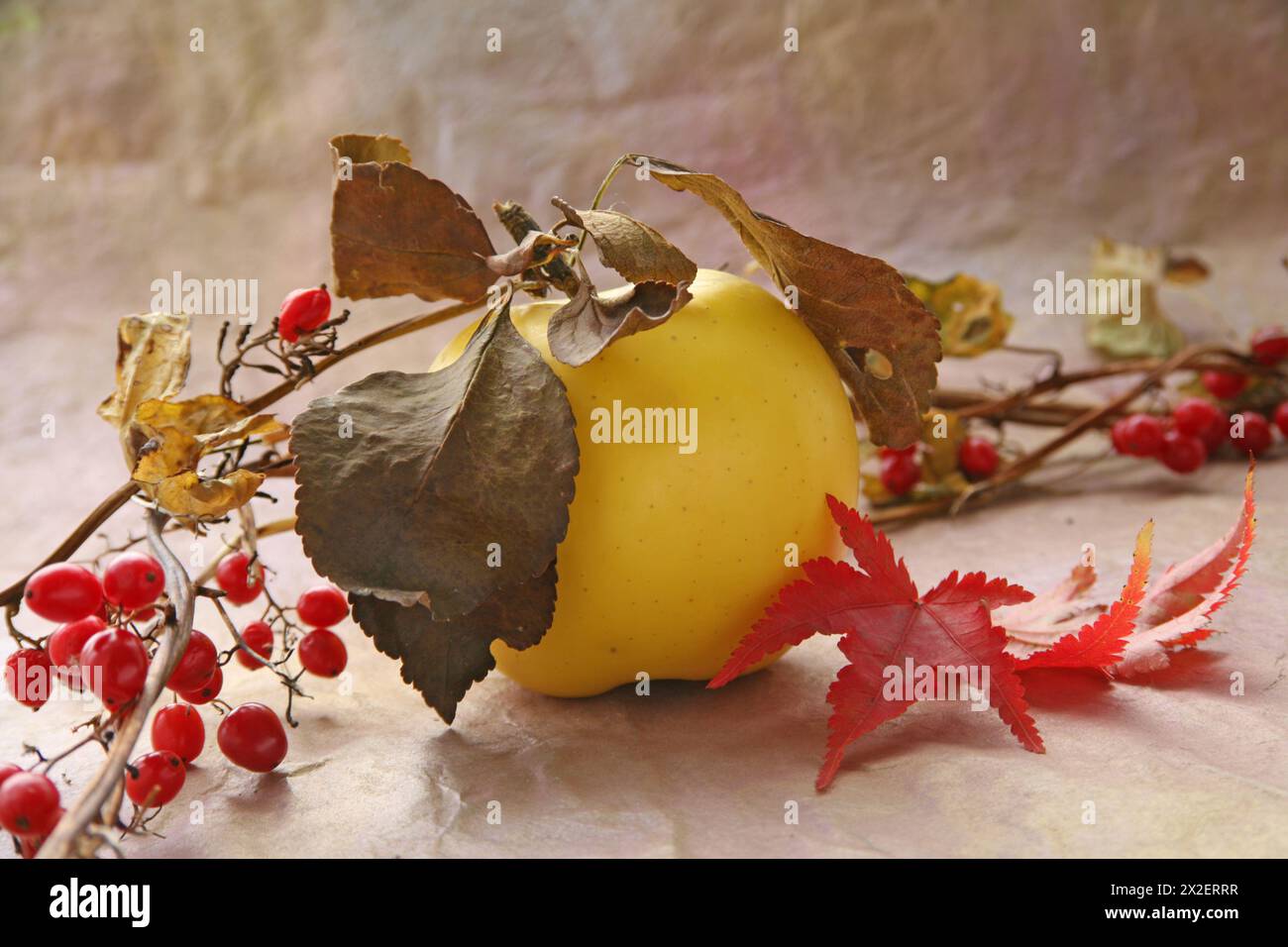 Botanica, natura morta di mela con foglie essiccate e frutti di bosco contro un fondo di carta sgusciato, DIRITTI AGGIUNTIVI-CLEARANCE-INFO-NON-DISPONIBILI Foto Stock