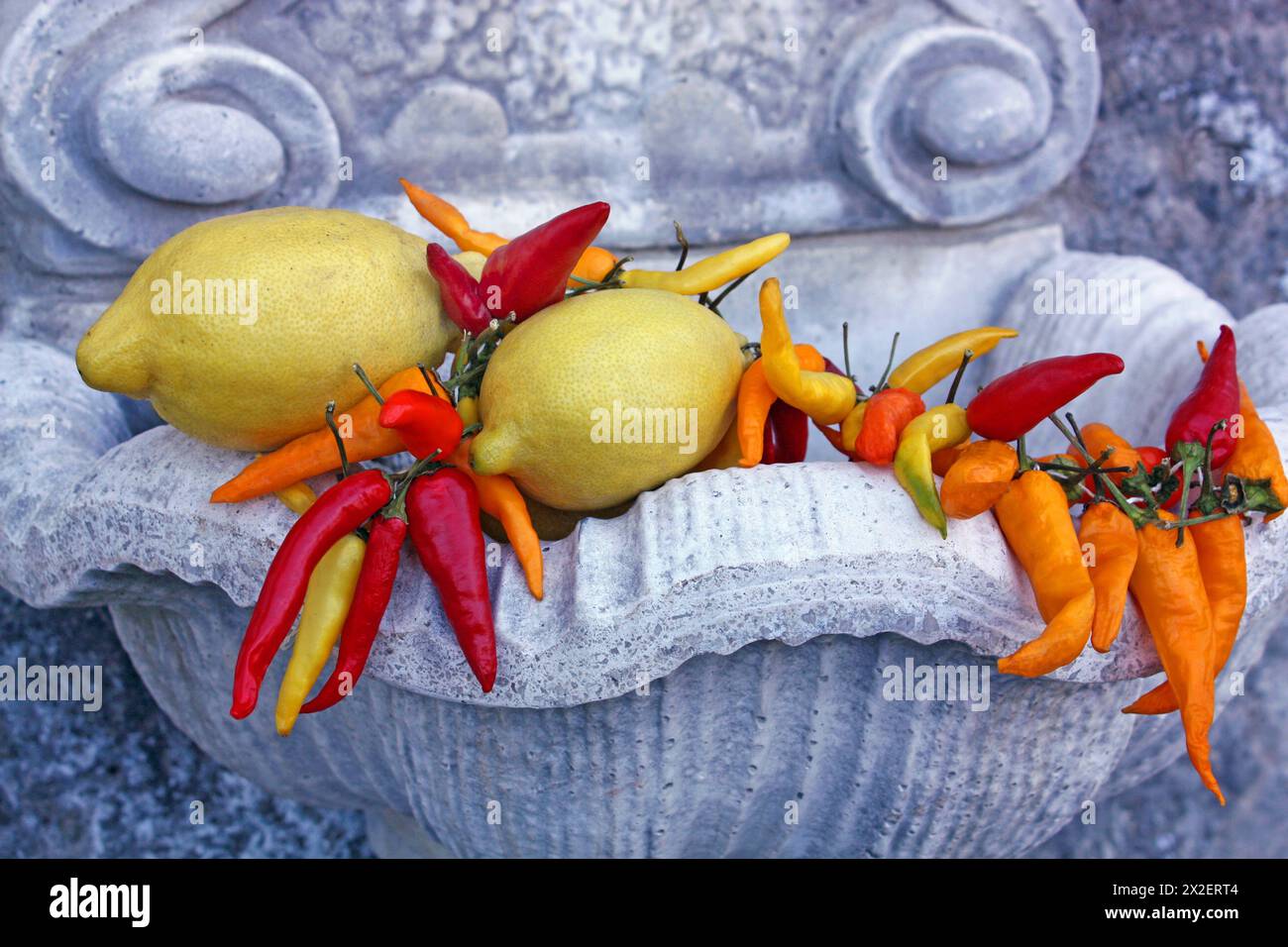 Botanica, natura morta di limoni e peperoncini colorati su un contenitore di fiori di pietra ornato, INFORMAZIONI-DIRITTI-SUPPLEMENTARI-NON-DISPONIBILI Foto Stock