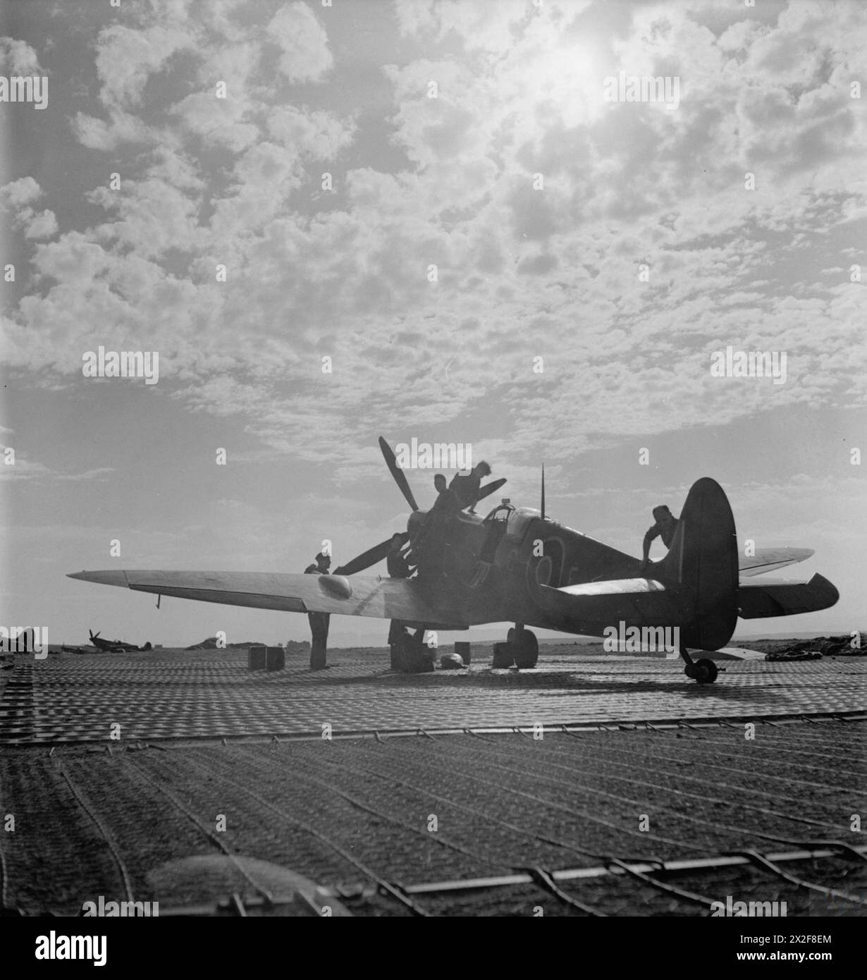 OPERAZIONI DELLA ROYAL AIR FORCE IN MEDIO ORIENTE E NORD AFRICA, 1939-1943. - Supermarine Spitfire Mark IX del No. 81 Squadron RAF in servizio al tramonto a Tingley Algeria Royal Air Force, 81 Squadron Foto Stock