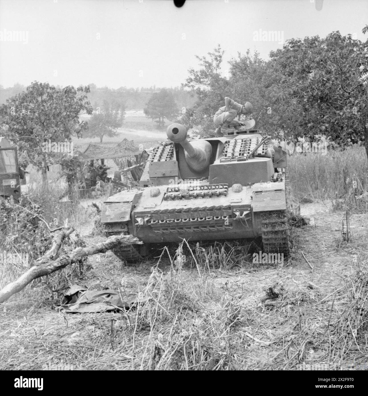 L'ESERCITO BRITANNICO IN ITALIA 1944 - Un cannone d'assalto tedesco StuG IV, abbattuto, 29 maggio 1944, Foto Stock