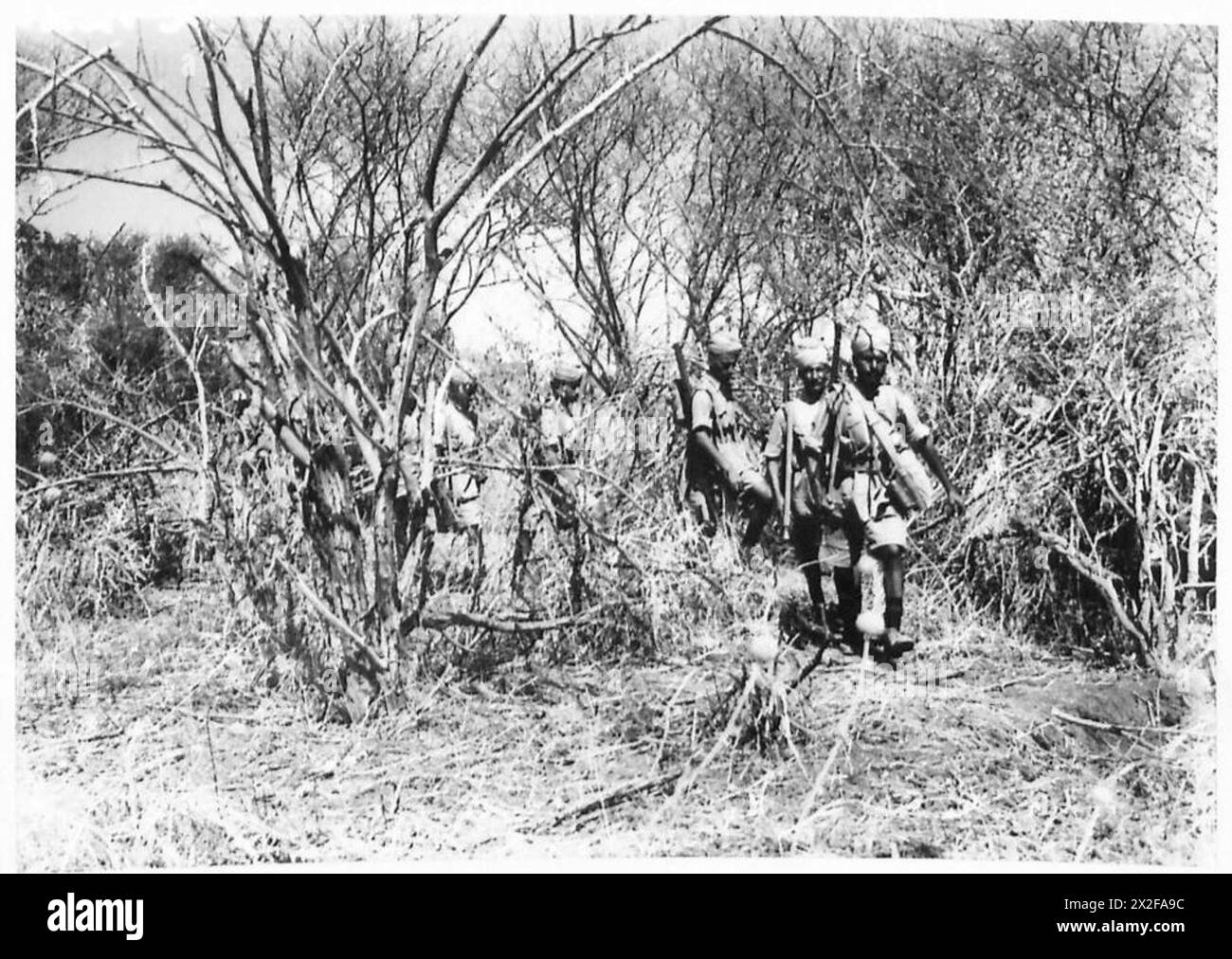 Una pattuglia di una brigata di fanteria indiana parte attraverso terreni boscosi sulla frontiera eritrea, mantenendo la sicurezza e le operazioni di ricognizione. Foto Stock