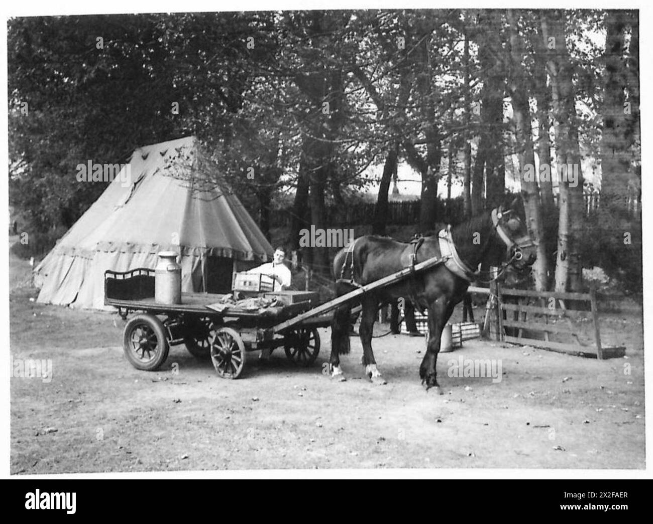 Il personale dell'esercito britannico sul campo riceve consegne di latte come parte delle razioni e delle operazioni di fornitura. Foto Stock