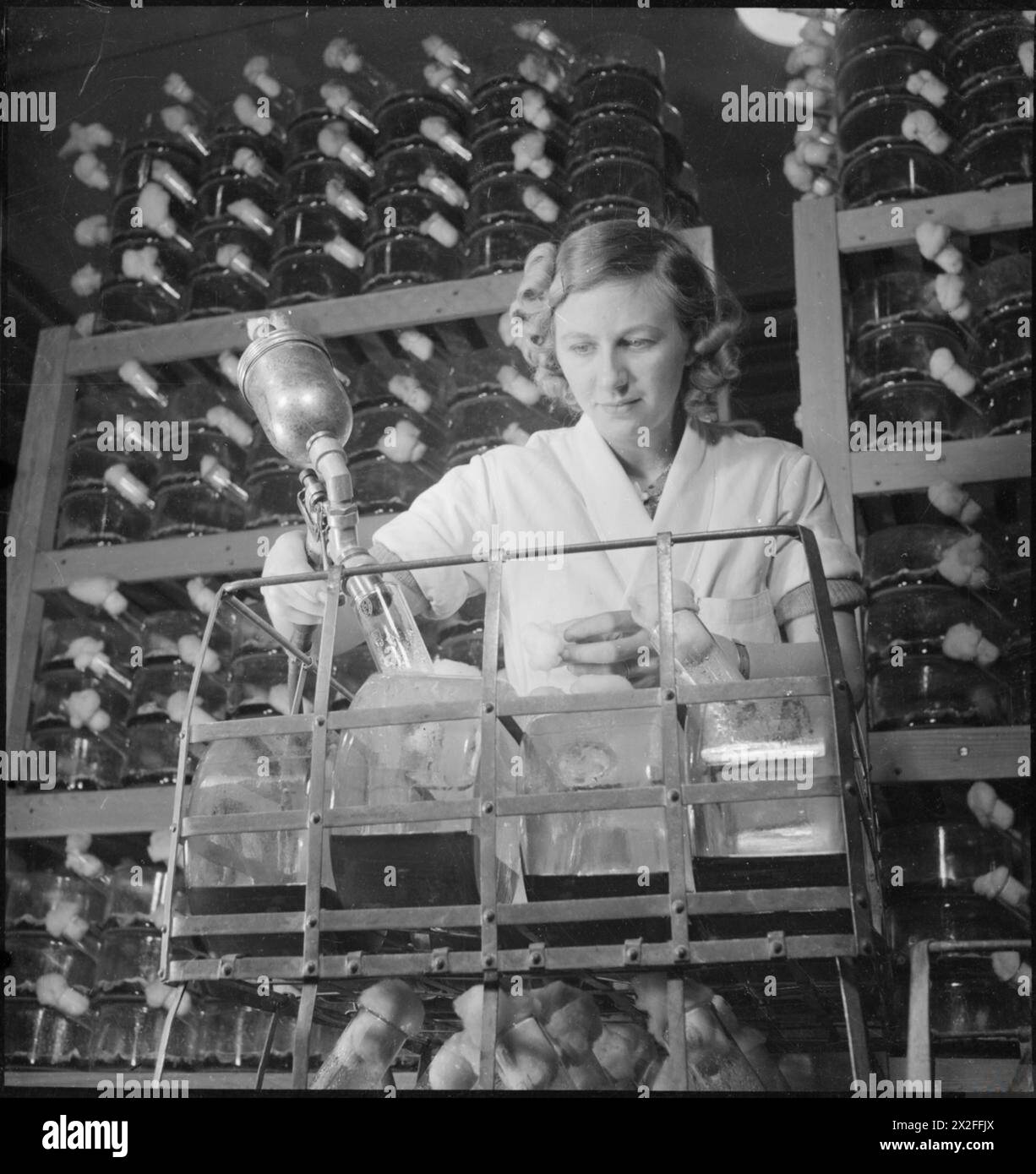 PENICILLINA PASSATO, PRESENTE E FUTURO: LO SVILUPPO E LA PRODUZIONE DI PENICILLINA, INGHILTERRA, 1943 - Una lavoratrice di laboratorio spruzza una soluzione contenente la muffa della penicillina in matracci di mezzo ripido di mais, per incoraggiare un'ulteriore crescita della penicillina. La sospensione spore contenuta nella pistola a spruzzo contiene polvere prelevata dal nuovo stampo che è stato coltivato nelle provette di prova dello stampo originale del professor Fleming. Un operaio di laboratorio spruzza una soluzione contenente la muffa della penicillina in matracci per incoraggiare un'ulteriore crescita della penicillina, 1943. Howard Florey e Ernst Chain hanno guidato un team di scienziati che si sviluppano Foto Stock