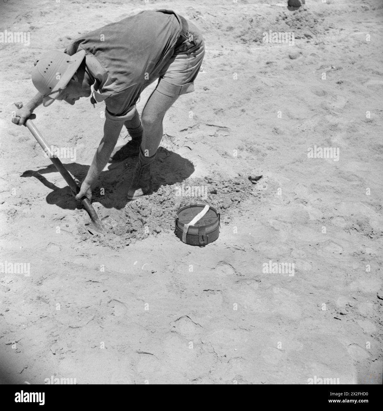 FORZE DEL COMMONWEALTH IN NORD AFRICA 1940-43 - Un sapper sudafricano che posa una miniera, Egitto, 2 luglio 1942 Foto Stock