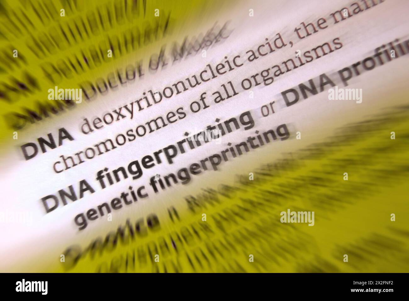 DNA - impronte digitali del DNA - profilazione del DNA Foto Stock