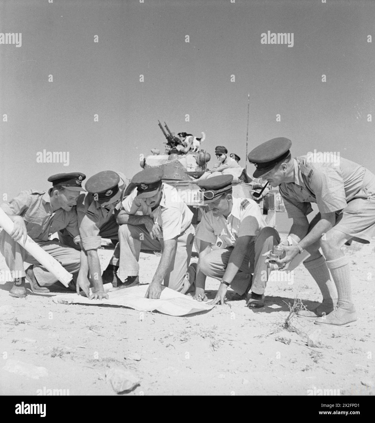 I comandanti dei veicoli della No. 2 Armoured Car Company RAF controllano la loro posizione durante una pattuglia nel deserto occidentale come parte delle operazioni della Royal Air Force in Nord Africa e Medio Oriente tra il 1939 e il 1943. Foto Stock