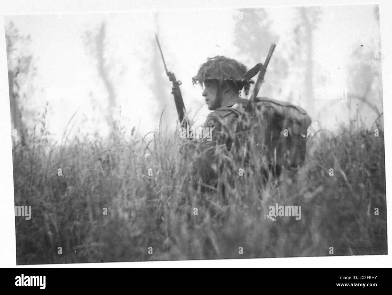 Un soldato britannico del 6th Royal Scots Fusiliers usa un campo di grano per mimetizzare durante la campagna alleata nell'Europa nord-occidentale tra il 6 giugno 1944 e il 7 maggio 1945. Foto Stock