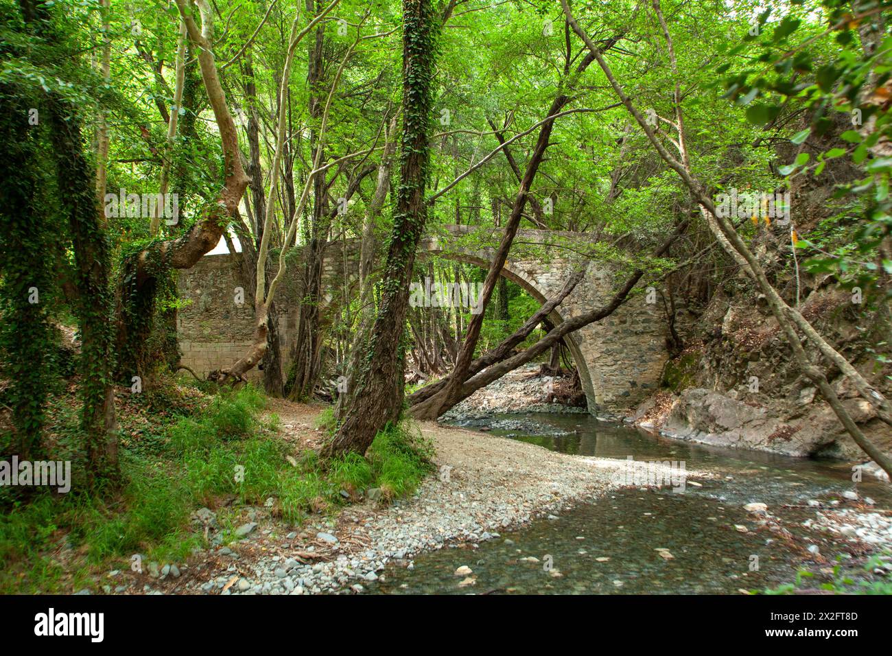 Il vecchio ponte veneziano di Kelefos (o "Tzielefos"), tra Agios Nikolaos e i villaggi di Platres, la montagna di Troodos, il distretto di Lemesos Cipro Foto Stock