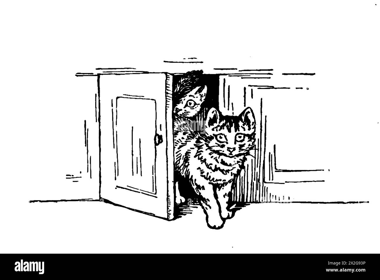 Contorno bianco e nero di un gatto che sbircia da dietro una porta Foto Stock