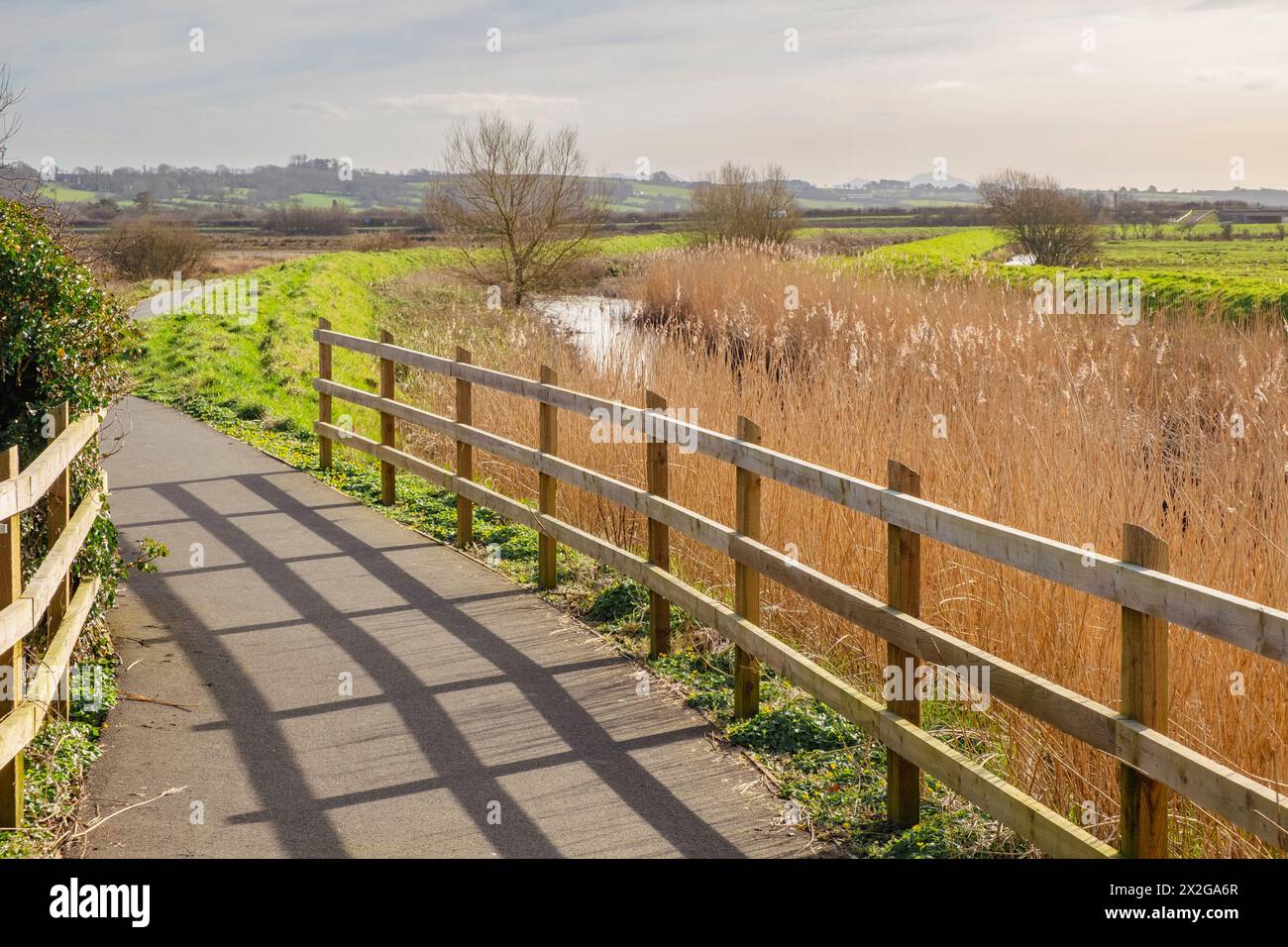 Percorso Sustrans 566 Lon Las Cefni ciclabile e sentiero a piedi lungo il fiume Afon Cefni. Llangefni, Isola di Anglesey, Galles, Regno Unito, Regno Unito, Europa Foto Stock