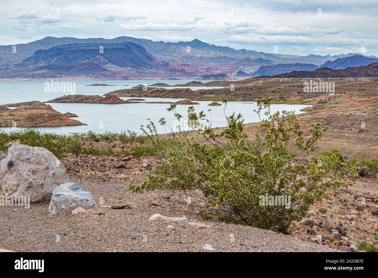 Aspro terreno montuoso lungo la costa del lago Mead vicino a Boulder City, Nevada Foto Stock