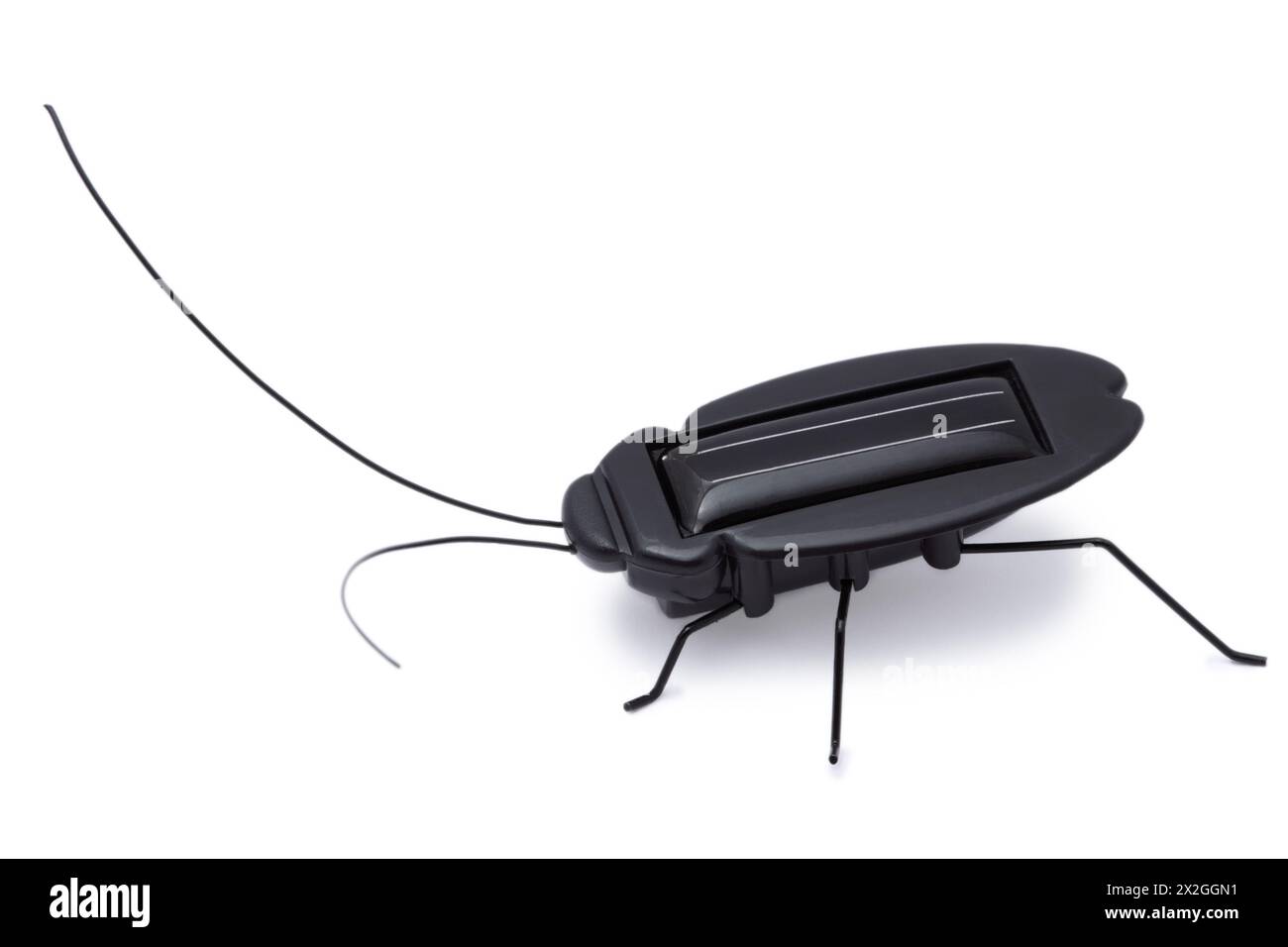 cavalletta giocattolo a energia solare isolata su sfondo bianco, dietro Foto Stock
