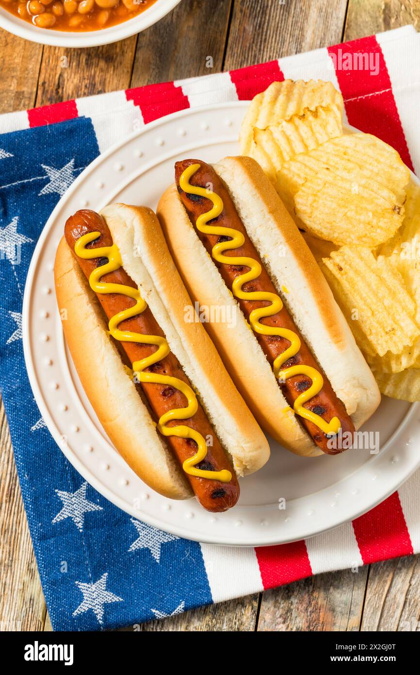 Cani caldi patriottici del Memorial Day americano con patatine fritte Foto Stock