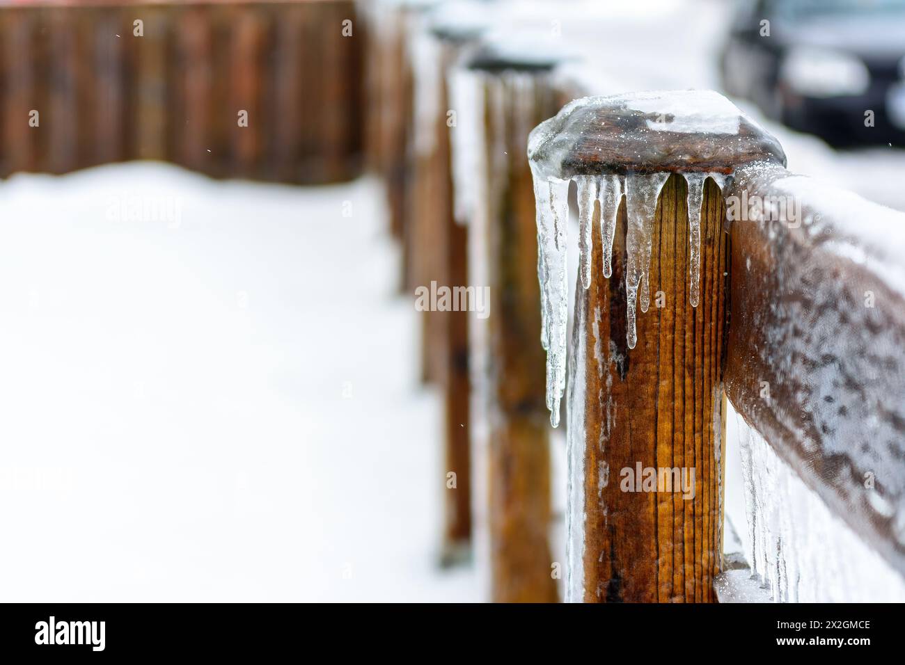 Pioggia gelida sui rami degli alberi, Toronto, Canada Foto Stock