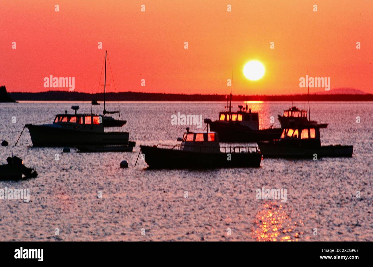 Maine Harbor a Sunrise. Foto Stock