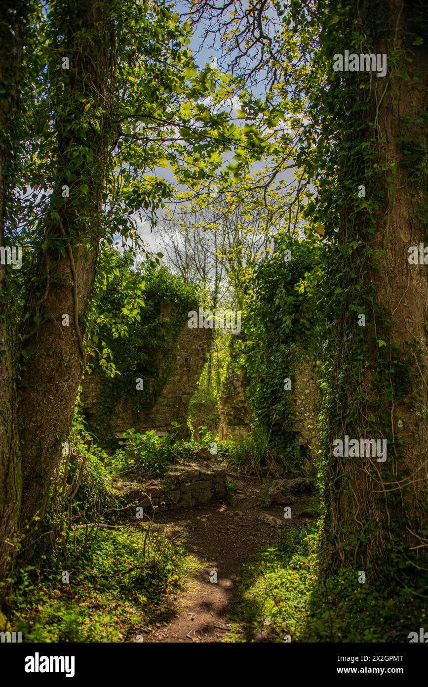 Lo storico castello di Candleston, Merthyr Mawr vicino a Bridgend, Galles del Sud. Foto Stock