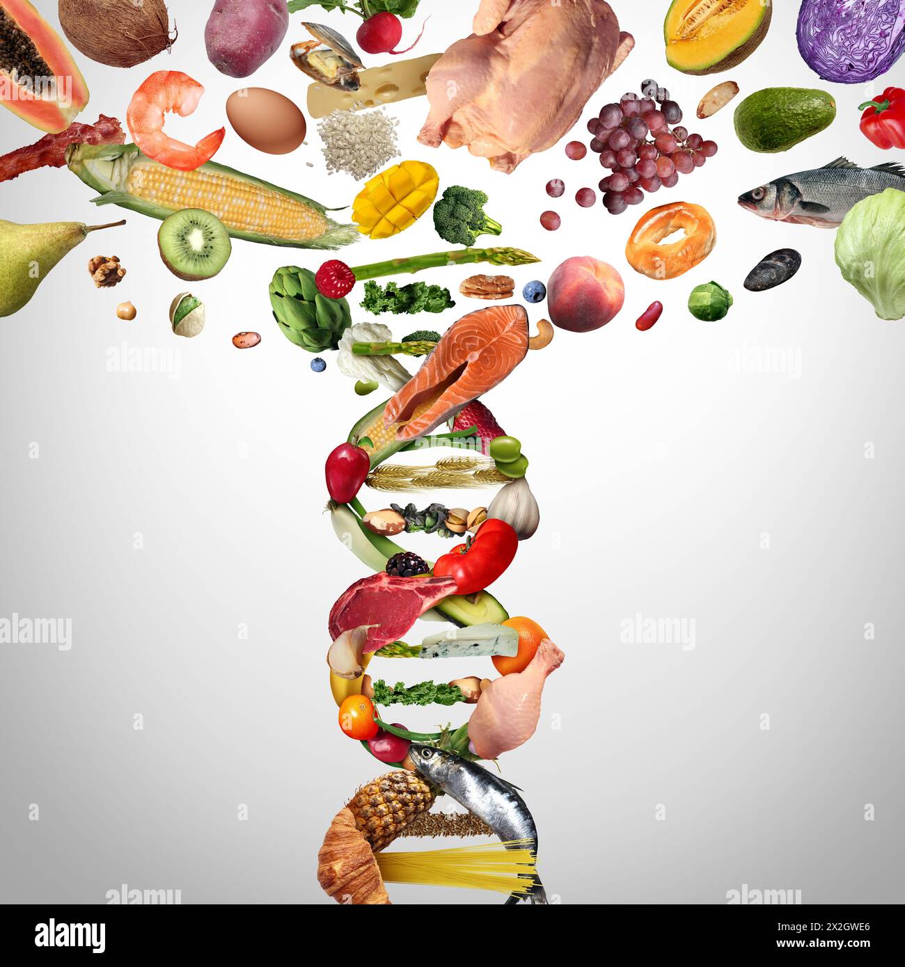 Scienza alimentare e alimenti OGM o colture geneticamente modificate come concetto di agricoltura ingegnerizzata come nutrizione e biotecnologia e manipolazione genetica Foto Stock