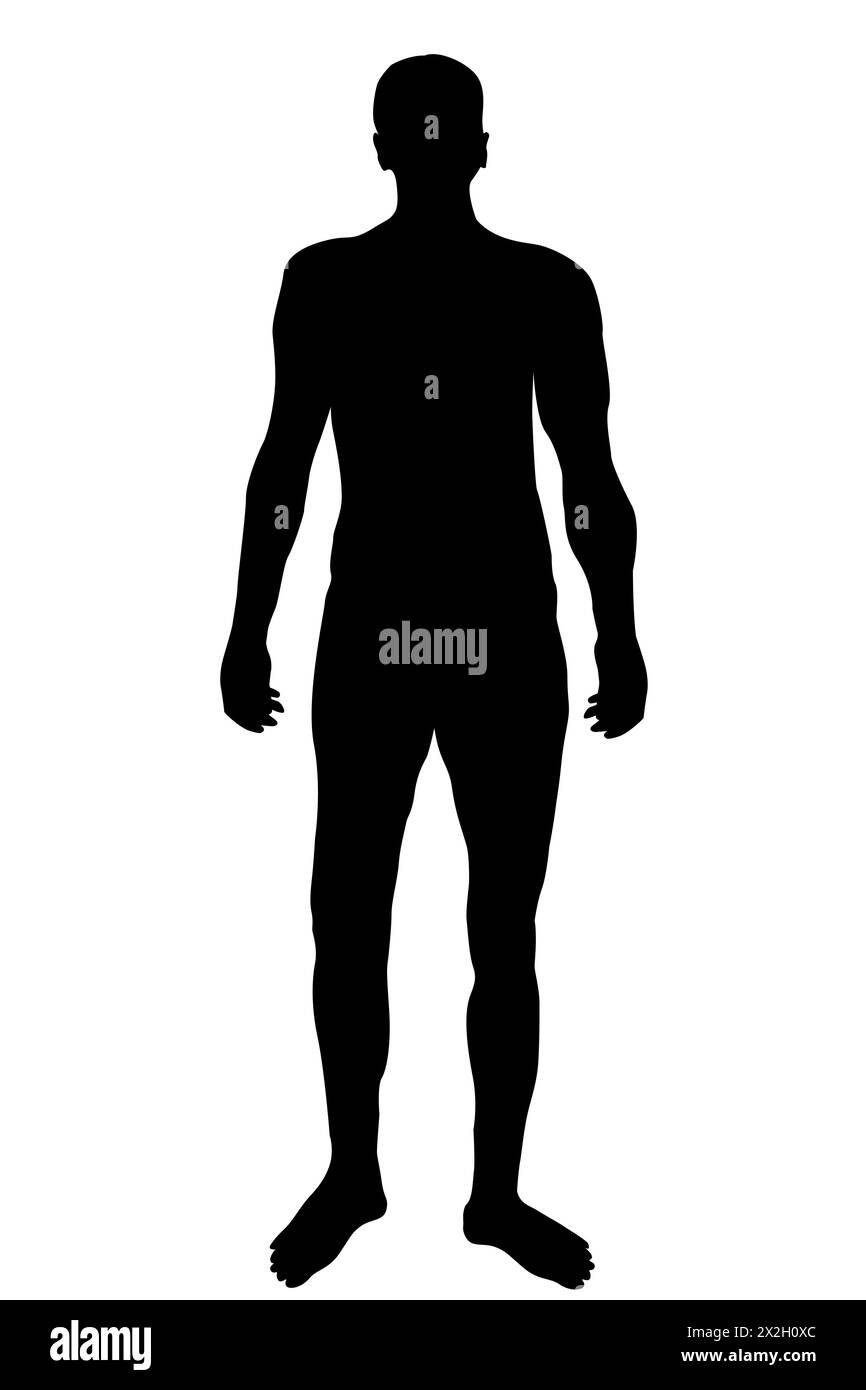 Silhouette del corpo dell'uomo isolata su sfondo bianco Illustrazione Vettoriale