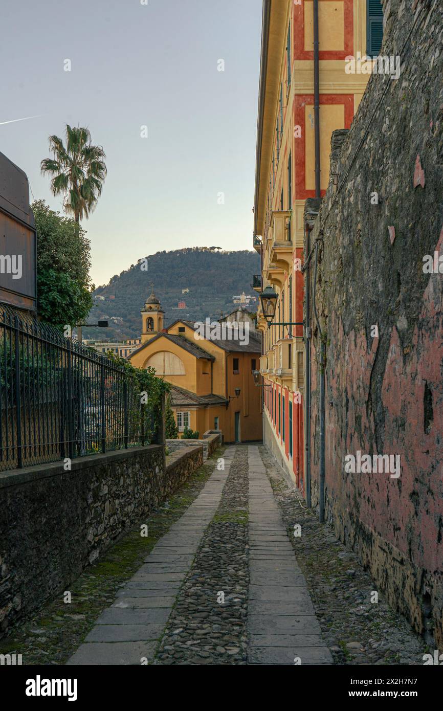 Strada stretta tra edifici colorati al porto di Santa Margherita Ligure, Italia. Foto Stock