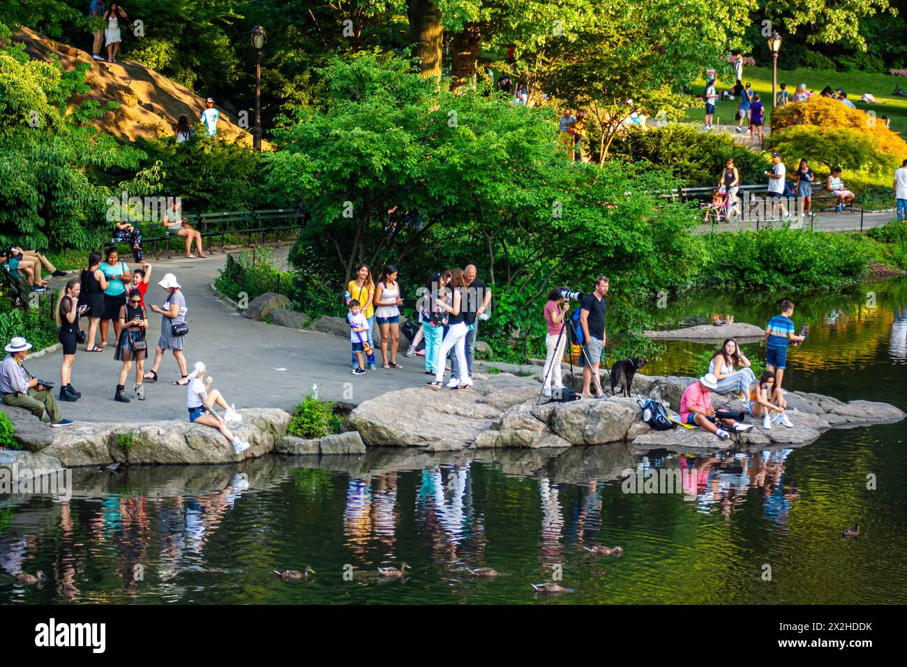 Una vibrante giornata estiva a Central Park, Manhattan, New York City, con persone che si godono attività di svago in riva al lago Foto Stock