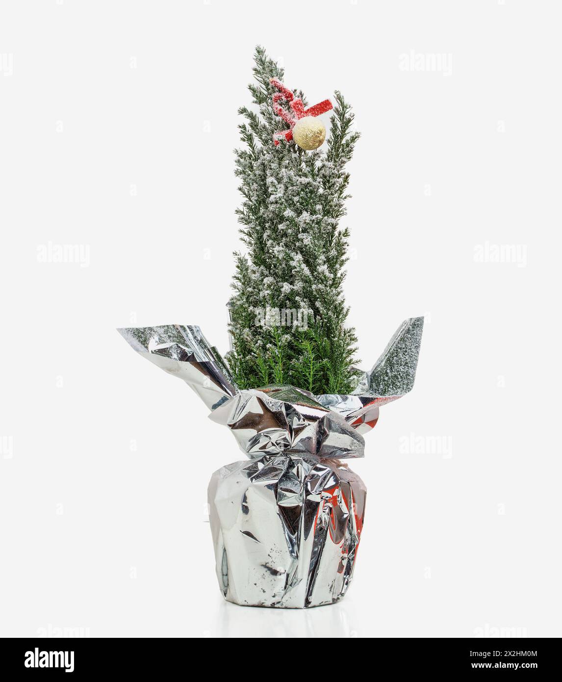 piccolo albero di natale per decorare con sfondo bianco Foto Stock