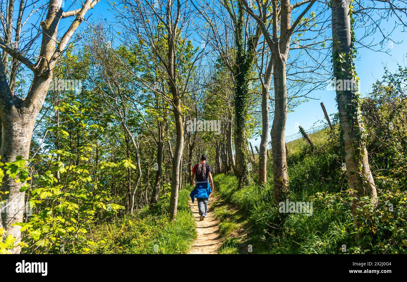 Un escursionista che cammina attraverso una foresta vicino al flysch di Zumaia, Gipuzkoa. Paesi Baschi Foto Stock