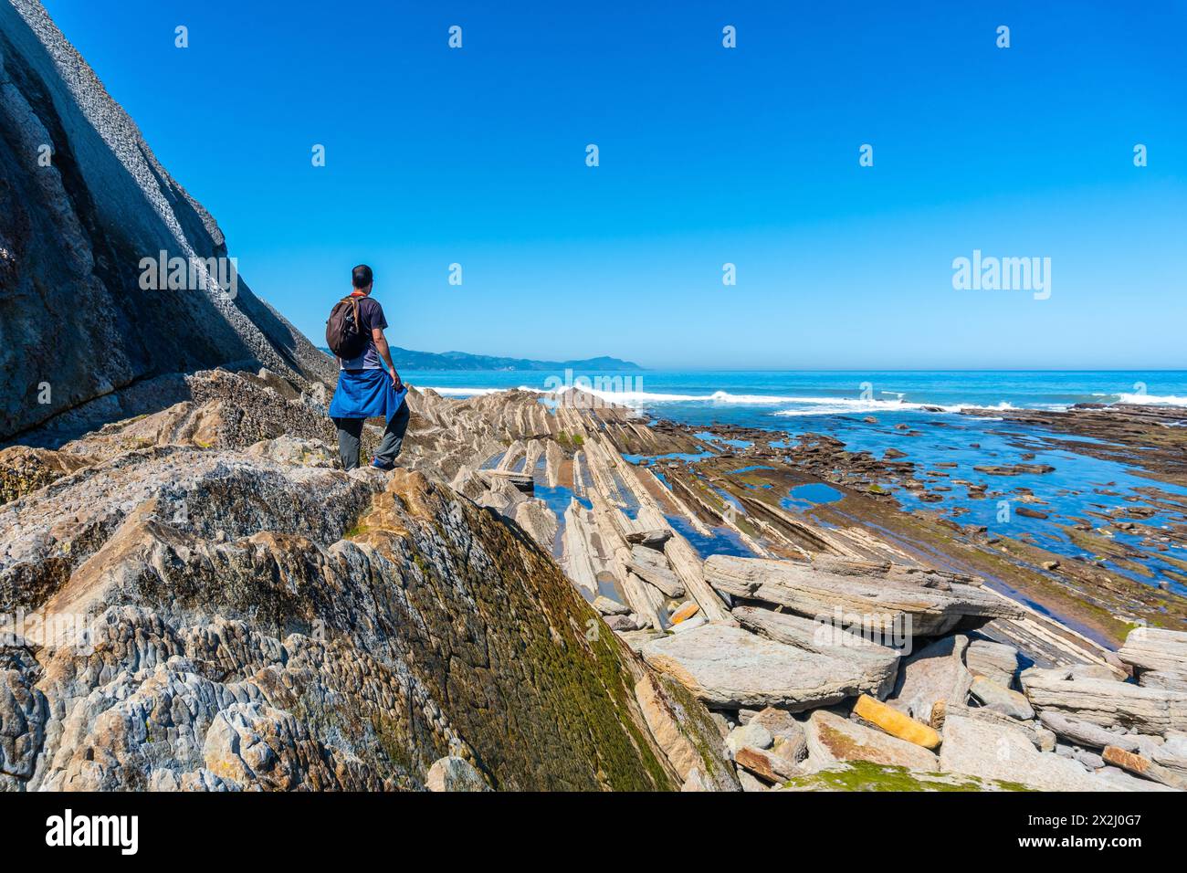 Un uomo vicino alla vegetazione marina nell'insenatura di Algorri sulla costa nel flysch di Zumaia, Gipuzkoa. Paesi Baschi Foto Stock