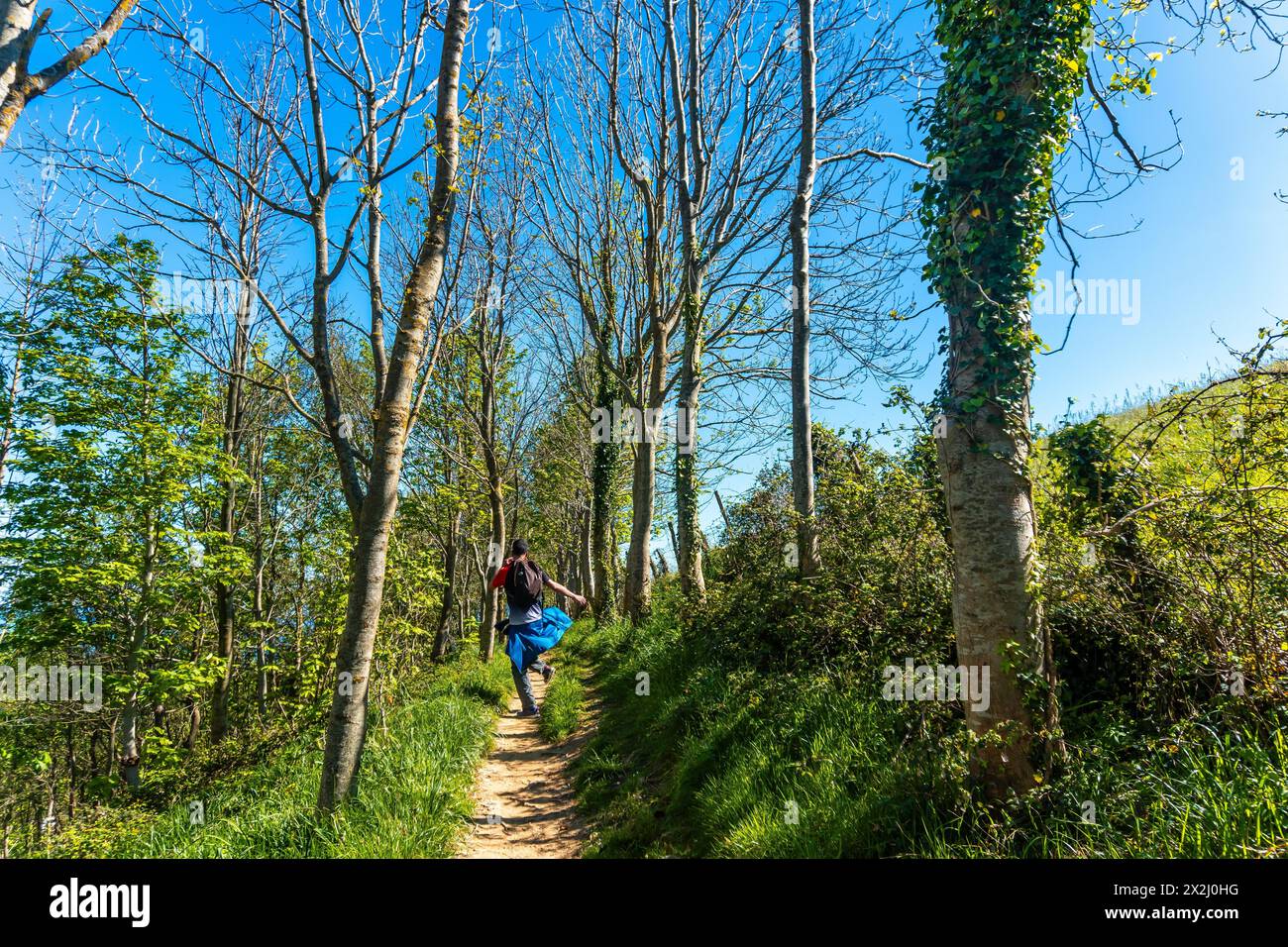 Un escursionista che salta felicemente attraverso una foresta vicino al flysch di Zumaia, Gipuzkoa. Paesi Baschi Foto Stock