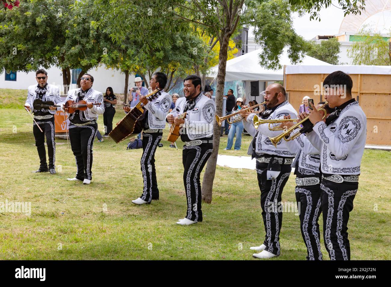 Cultura messicana; Una band Mariachi - un gruppo musicale tradizionale messicano che suona musica folk messicana; Torreon, Messico Foto Stock