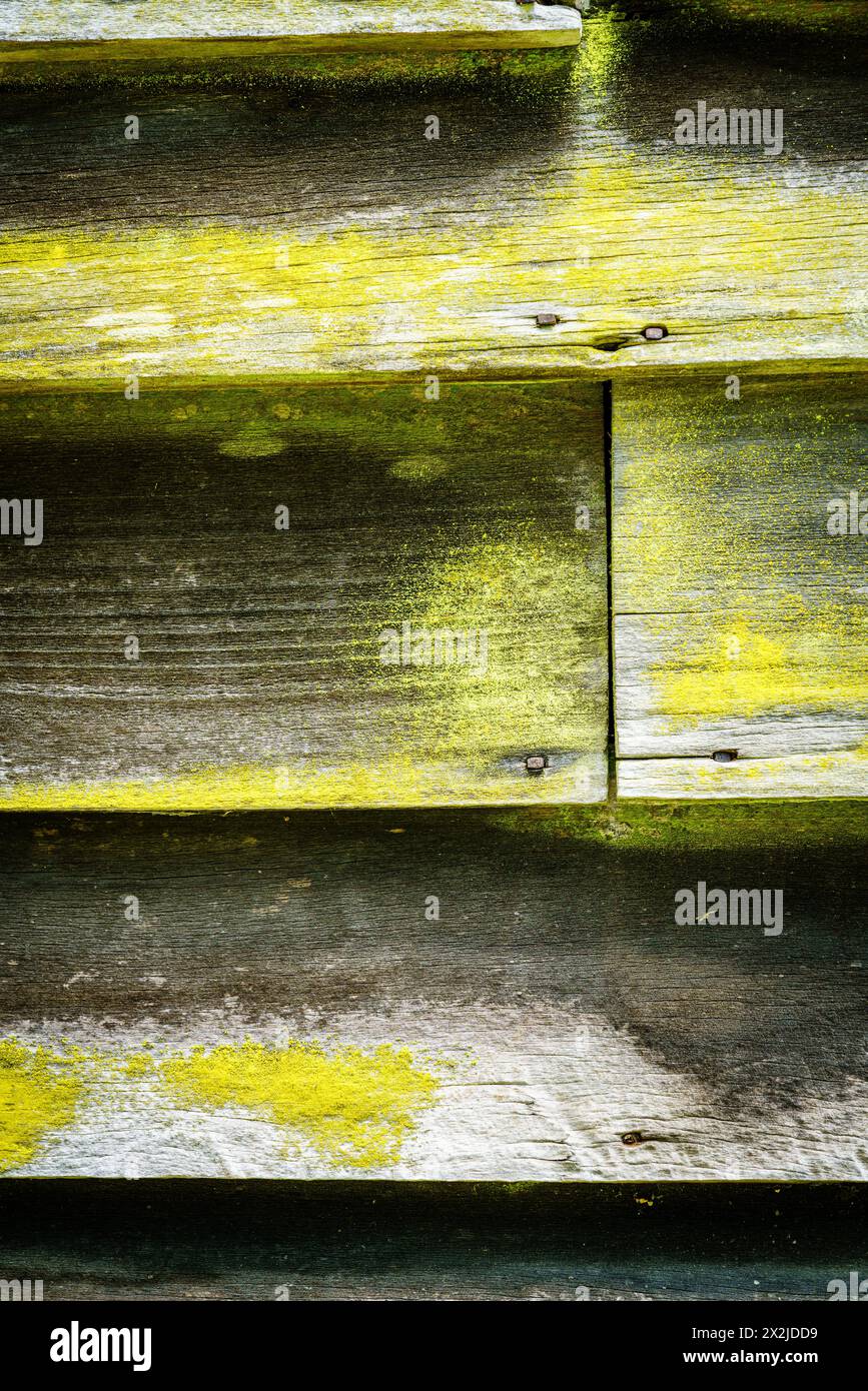 Immagine ravvicinata di tavole in legno intemperie del lato della casa Foto Stock