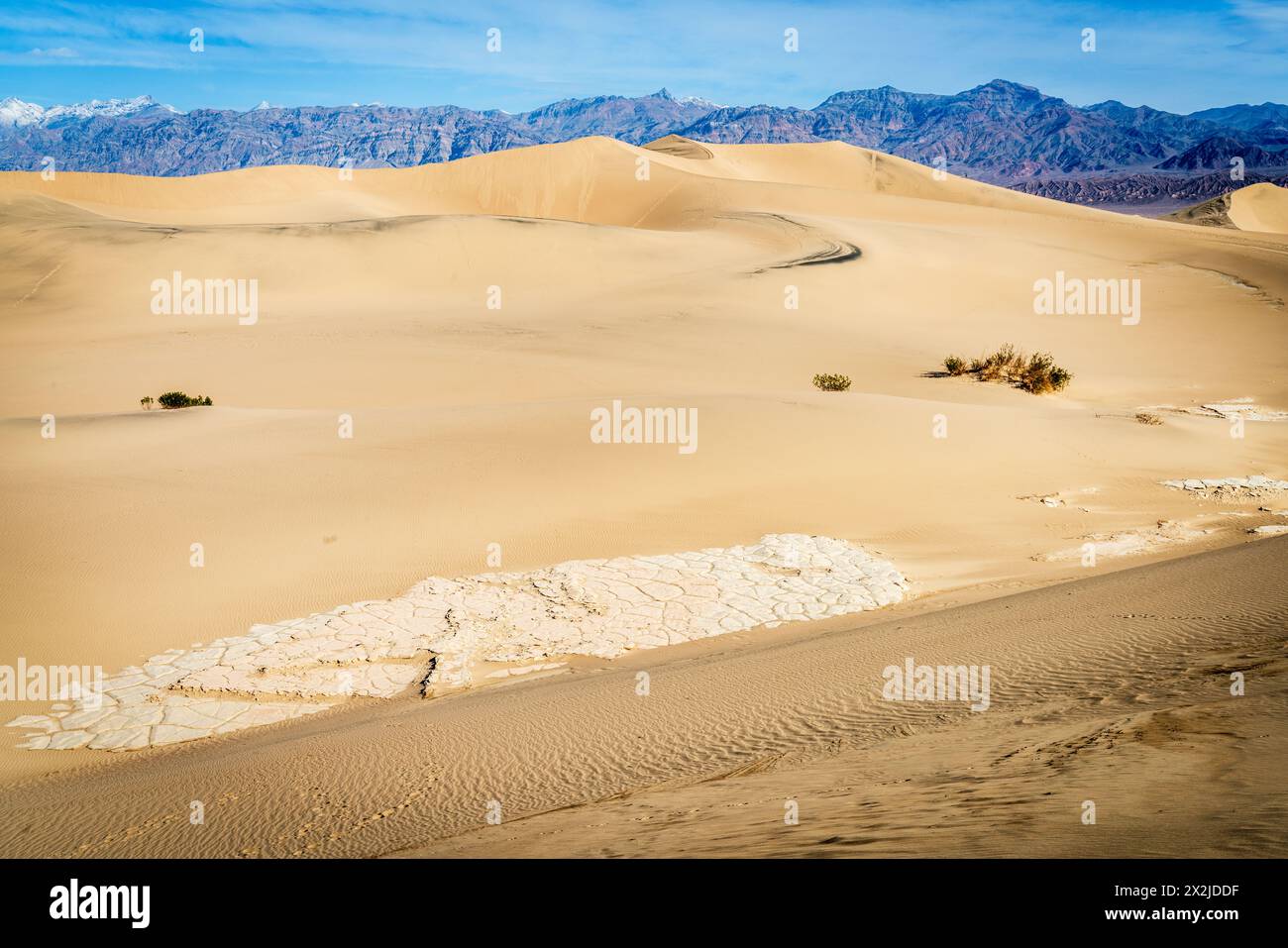 Vista panoramica delle dune di sabbia di Mesquite Flat e delle montagne dietro al Death Valley National Park in California Foto Stock
