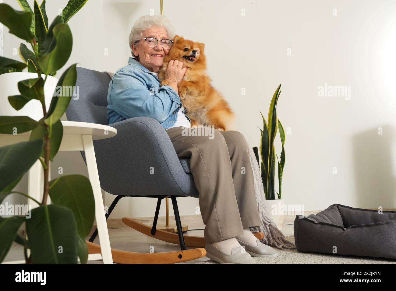 Donna anziana con cane della Pomerania seduto su una poltrona a dondolo a casa Foto Stock