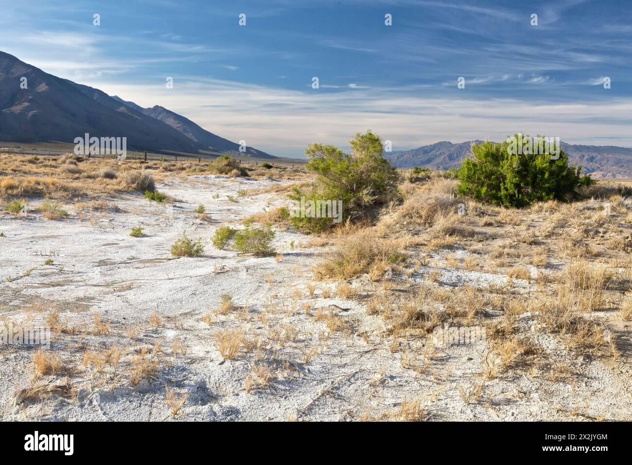Sodio sesquicarbonato, Trona, minerale naturale, che copre parti del lago Owens Dry, Sierra Nevada Mountains (a sinistra), Panamint Mountains a destra. Foto Stock