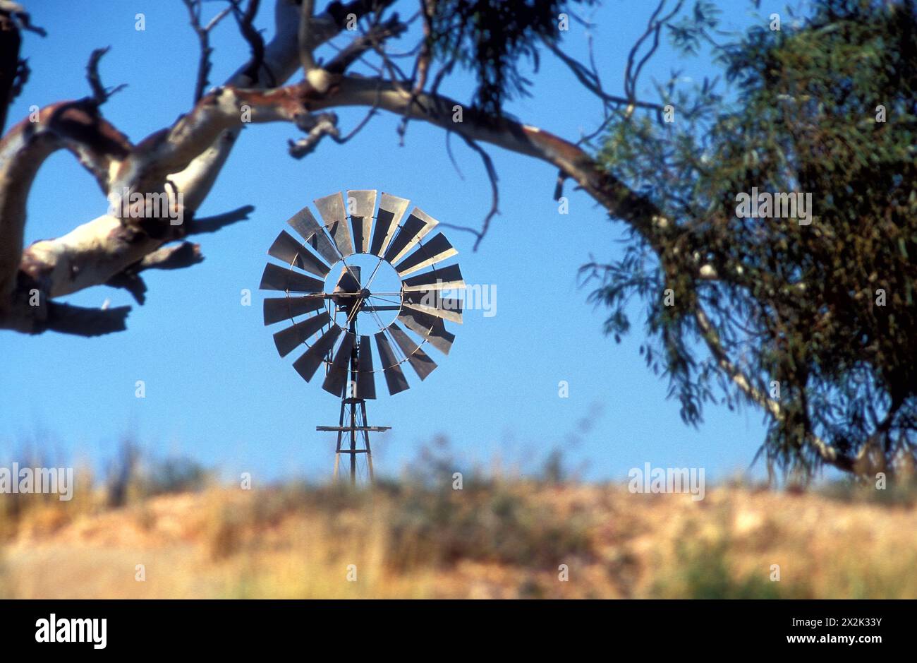 Mulino a vento su terreni agricoli, Australia Occidentale Foto Stock