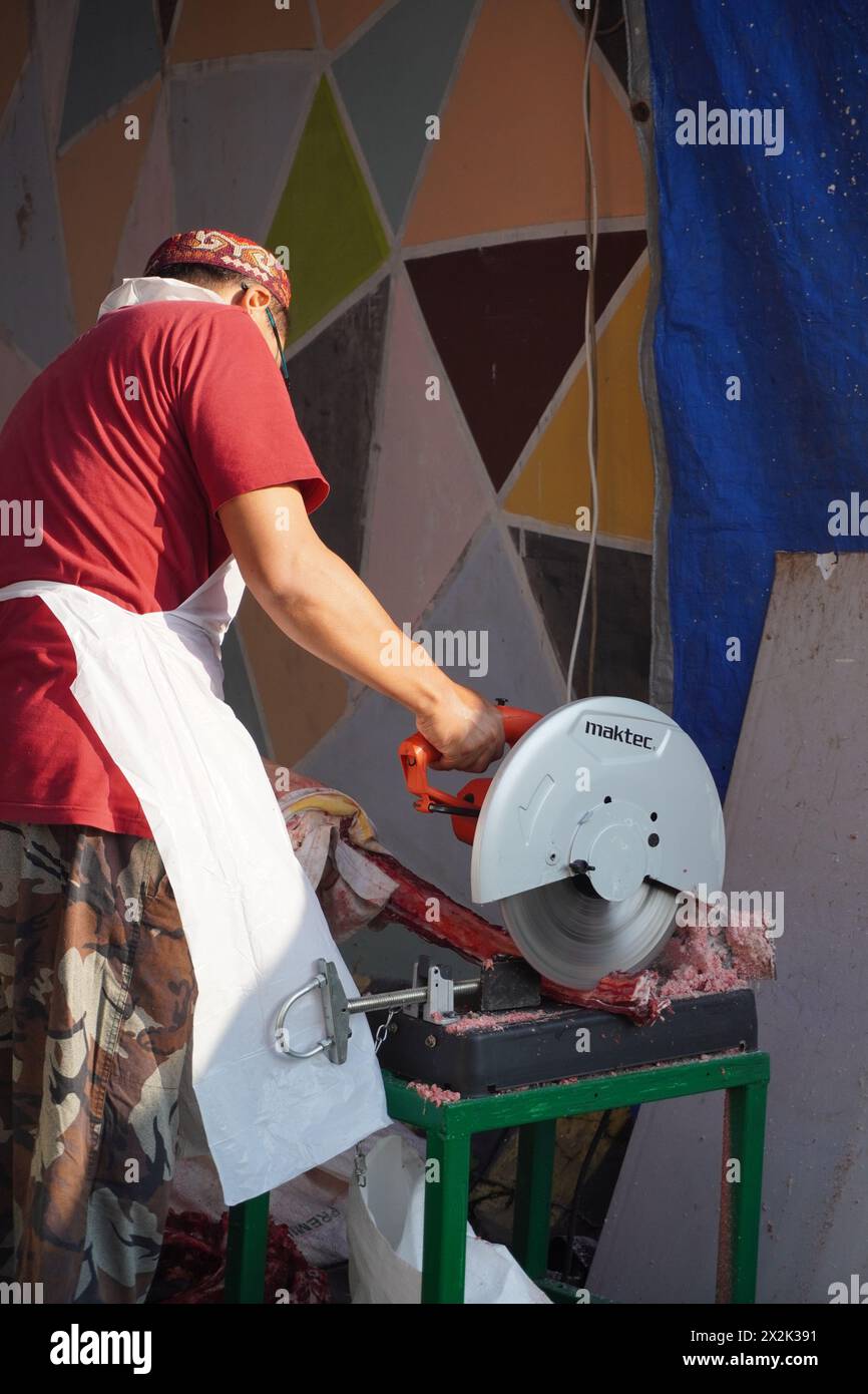 Un uomo massacra un animale sacrificale usando una macchina da taglio durante la celebrazione di Eid al-Adha Foto Stock