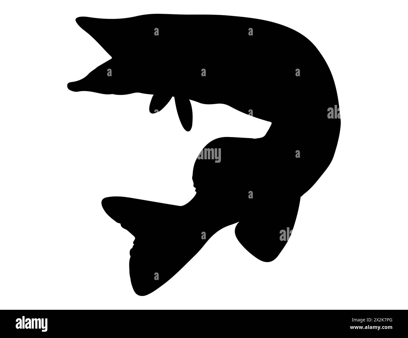 Arte vettoriale della sagoma del pesce luccio del Nord Illustrazione Vettoriale