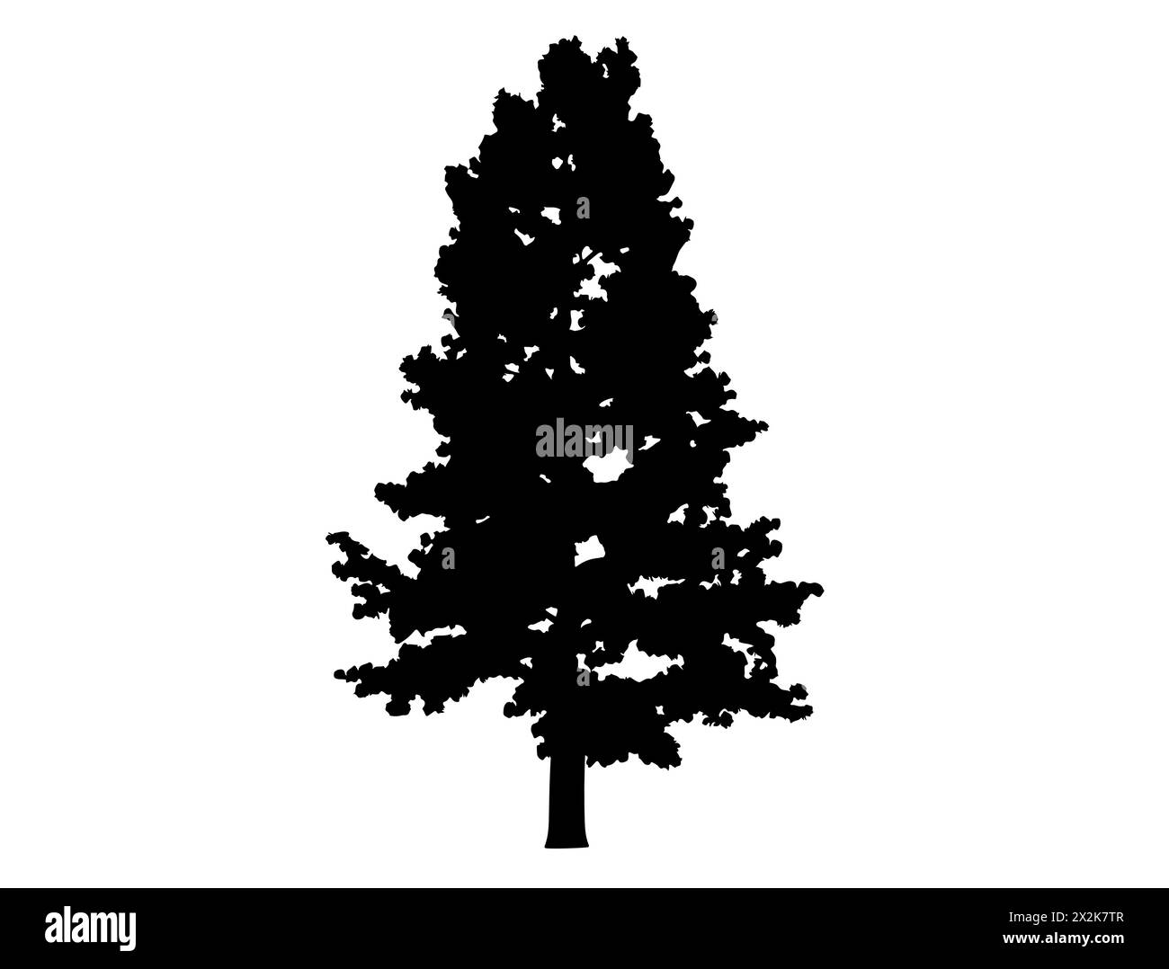Grafica vettoriale silhouette albero pino Illustrazione Vettoriale