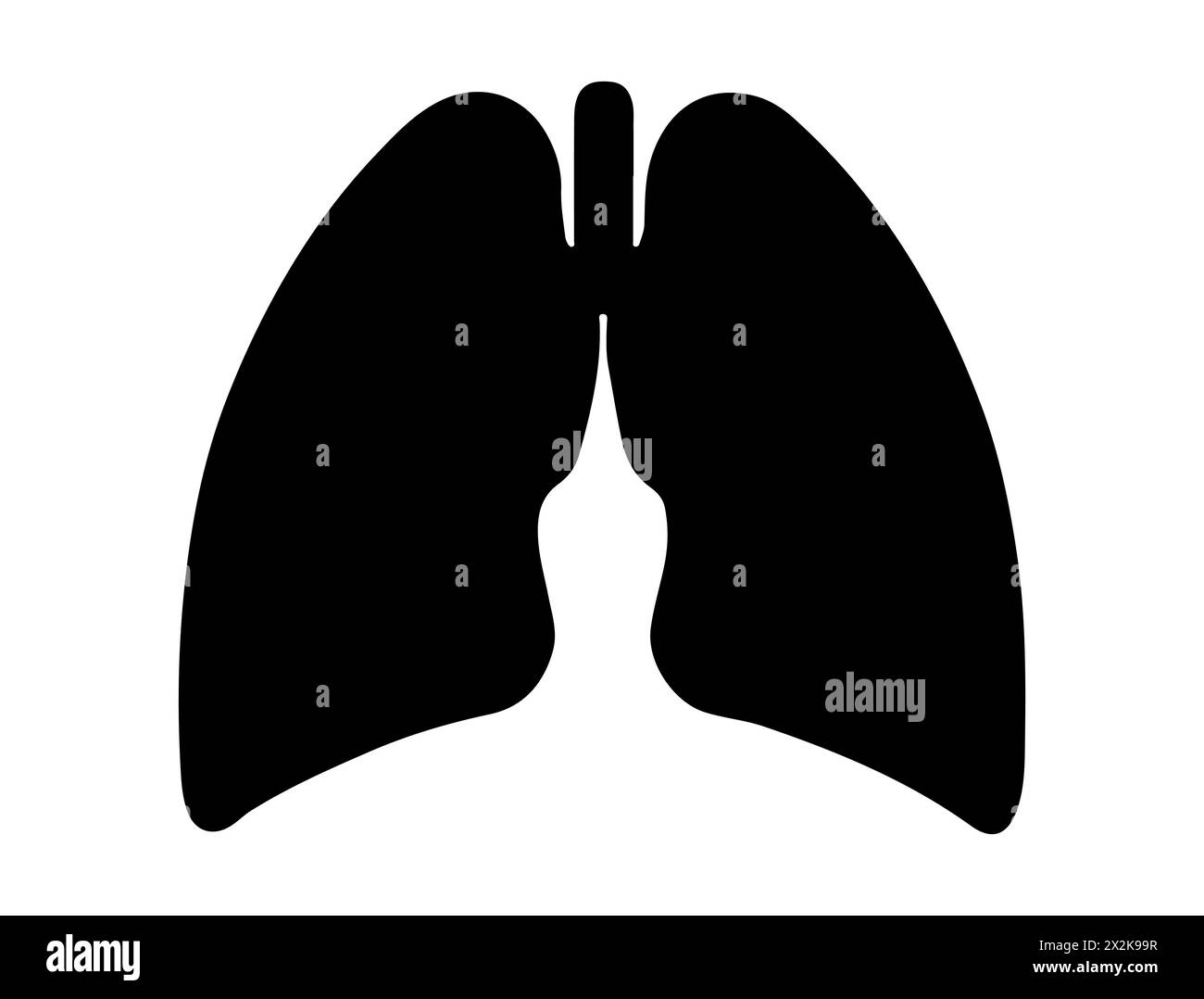 Grafica vettoriale sagoma polmone umano Illustrazione Vettoriale