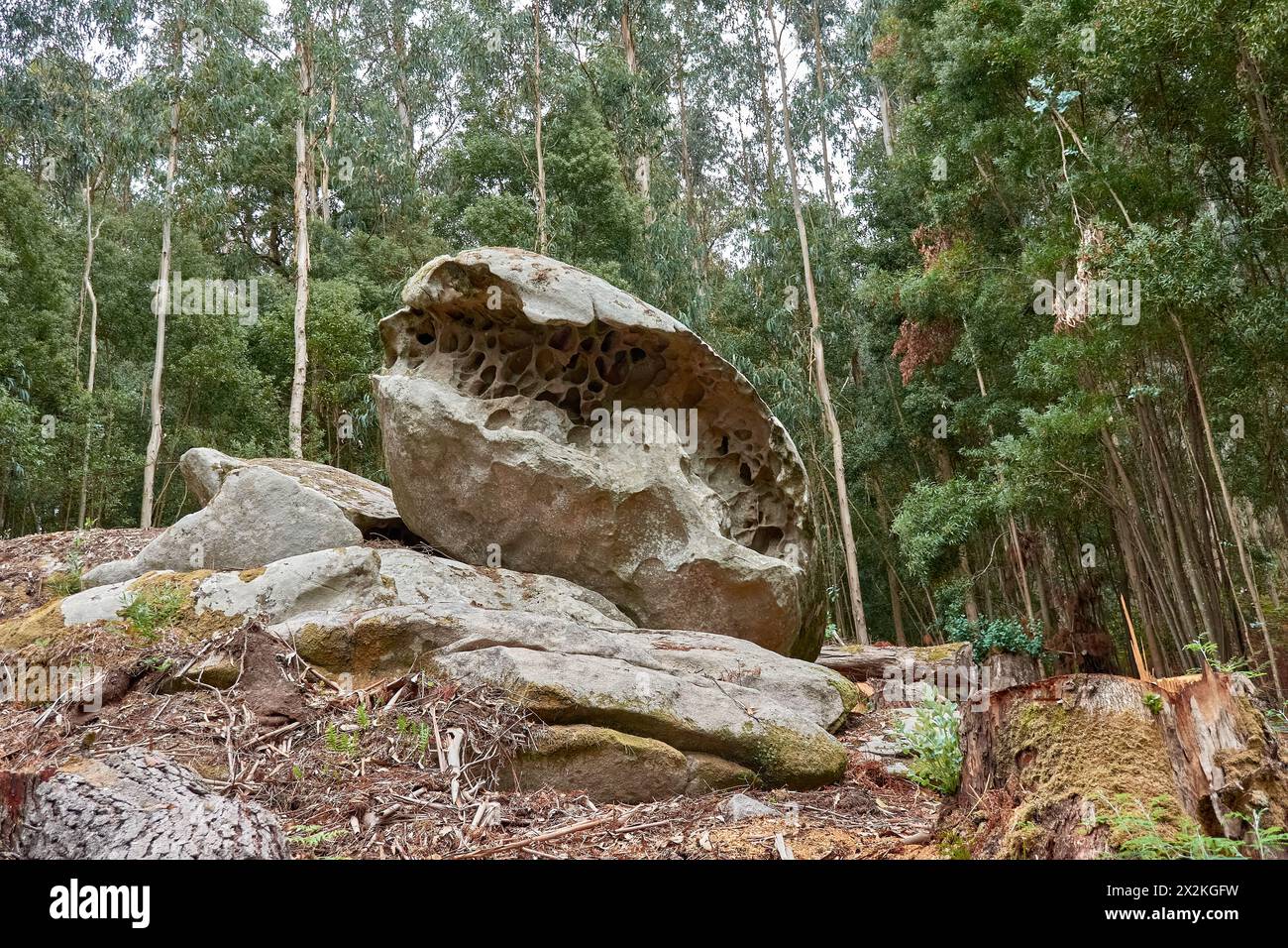 Forme peculiari nelle rocce prodotte dal vento sull'isola di Tambo a Pontevedra, Galizia, Spagna Foto Stock