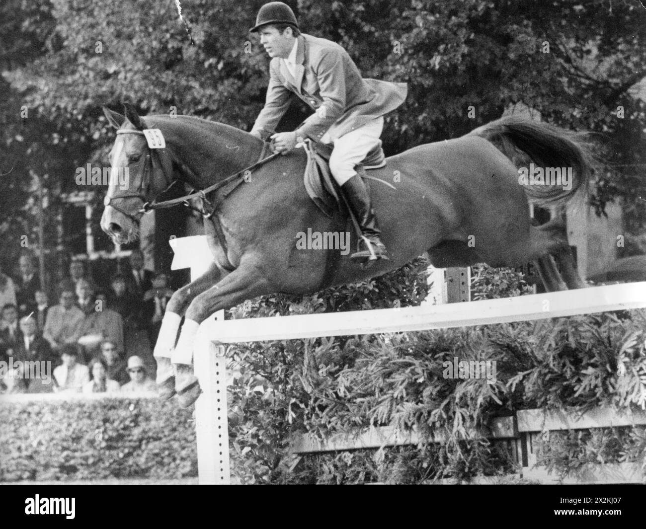 Schockemoehle, Alwin, * 29.5,1937, jockey tedesco, su Donald Rex, ULTERIORI-DIRITTI-AUTORIZZAZIONE-INFORMAZIONI-NON-DISPONIBILI Foto Stock