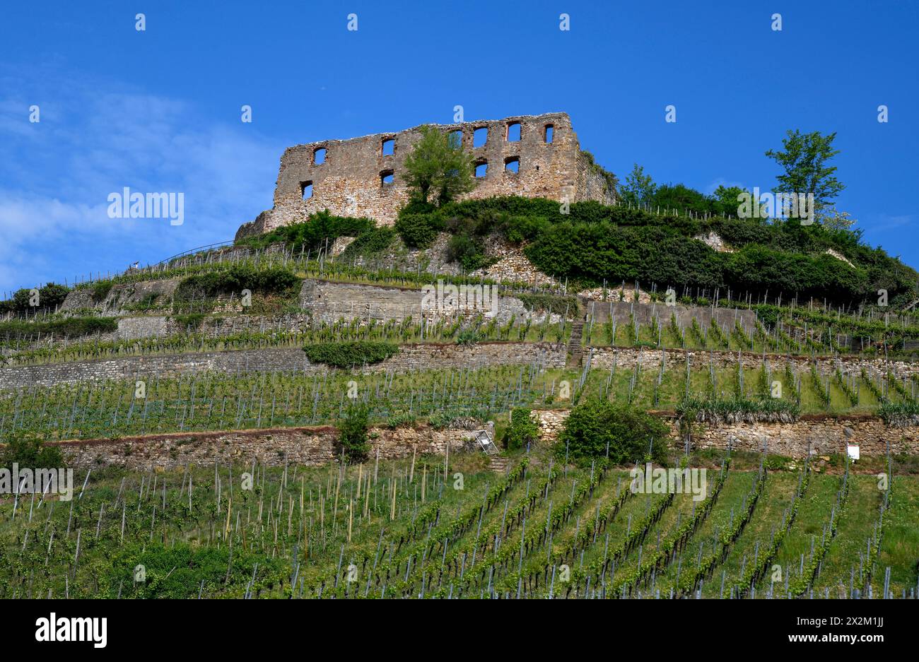 Geografia / viaggi, Germania, Baden-Wuerttemberg, rovina del Castello di Staufen, Staufen nel Breisgau, DIRITTI-AGGIUNTIVI-CLEARANCE-INFO-NOT-AVAILABLE Foto Stock