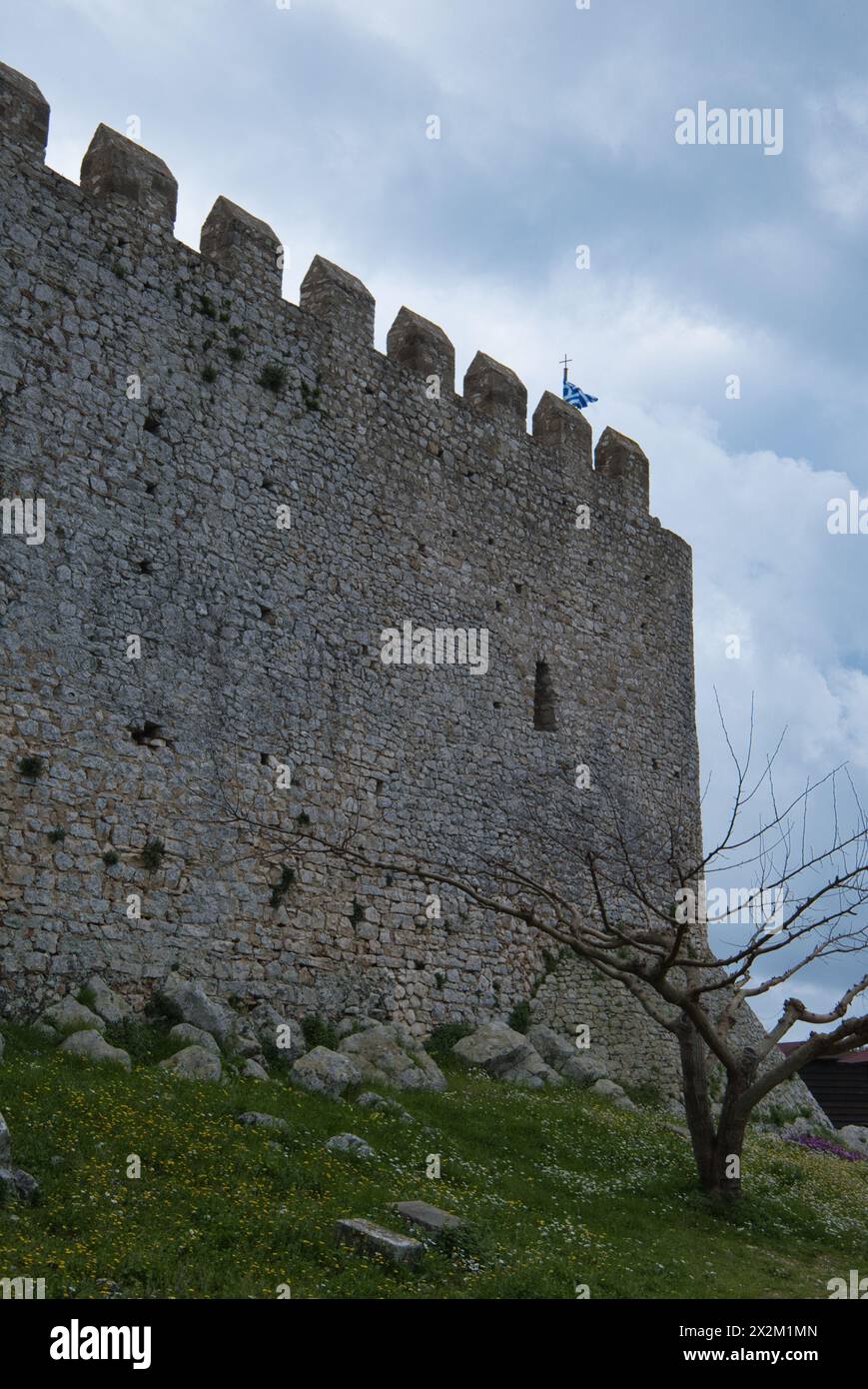 Muro esterno del castello franco di Chlemoutsi all'inizio della primavera Foto Stock