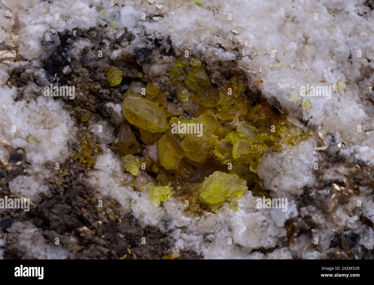 Campione minerale di cristalli di zolfo Foto Stock